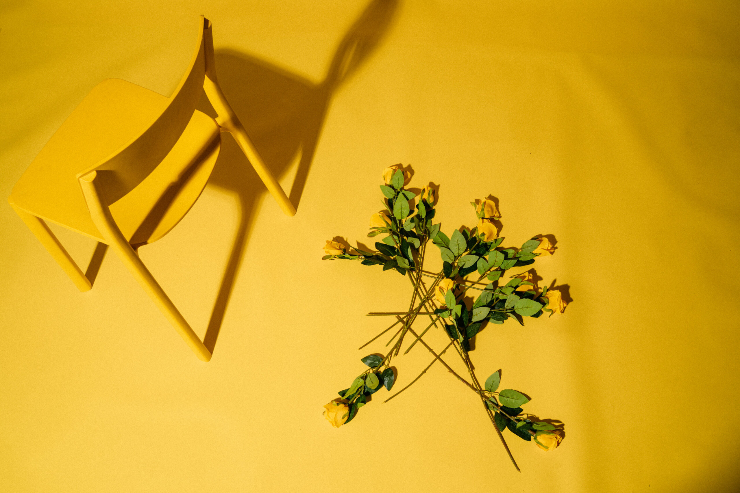 Die Köpfe der Zanadu Bandmitglieder in einem gelben Fernseher