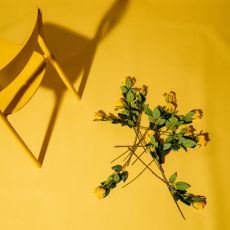 Gelbe Hochzeitsblumen liegen auf gelben Boden